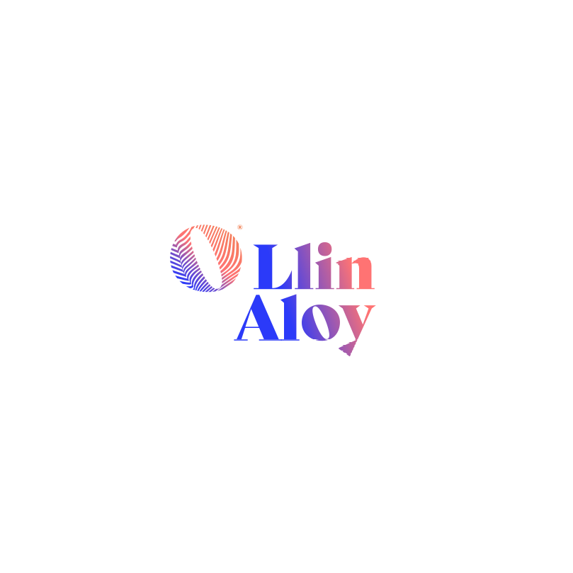Llin Aloy Marketing digital 360º